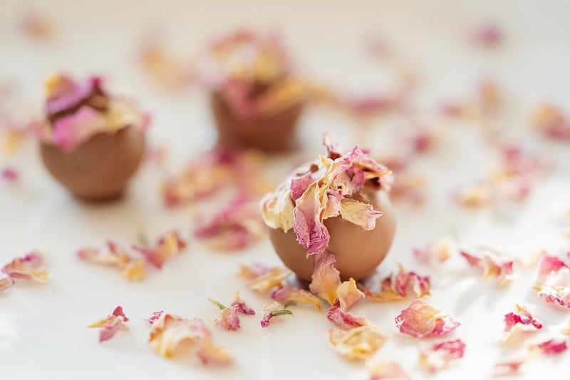 Artisanal Chocolate Trails